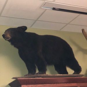 Meet your Posher, Mark